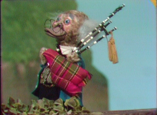 baby platypus name mr rogers baby platypus name mr rogers