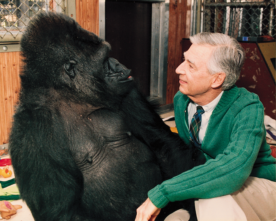 Special Guests Mister Rogers' Neighborhood